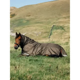 Brown horse wearing a dark gray lemieux arika 600d ripstop waterproof turnout rug alpine with reflective stripes