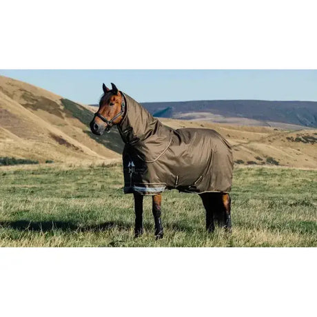 Brown horse wearing a dark olive-green lemieux arika 600d ripstop turnout rug alpine with reflective trim