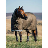 Horse wearing Lemieux Arika 600D Ripstop 200g Turnout Rug Alpine in grassy field