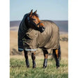 Brown horse wearing lemieux arika 600d black and tan 600d ripstop 200g turnout rug alpine with african branding