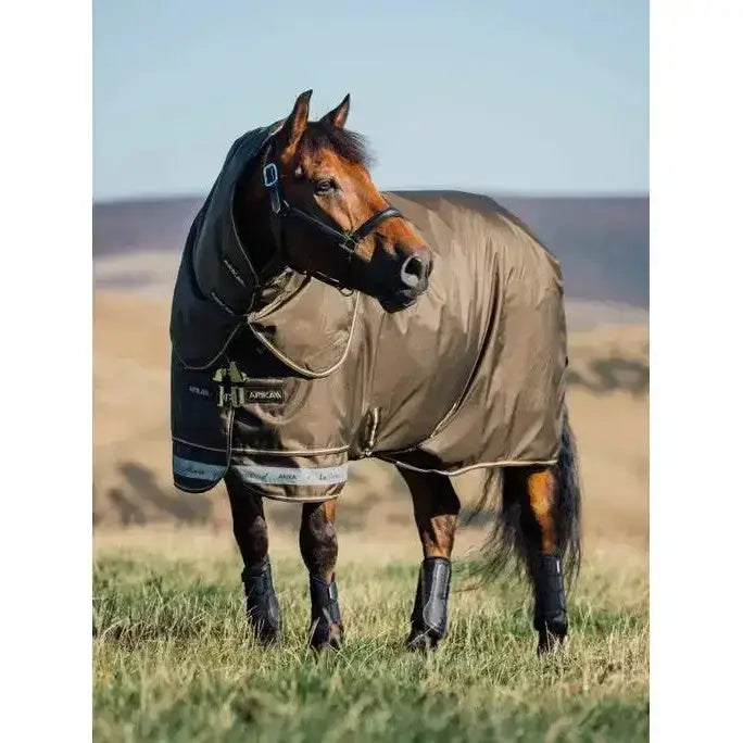 Brown horse wearing lemieux arika 600d black and tan 600d ripstop 200g turnout rug alpine with african branding