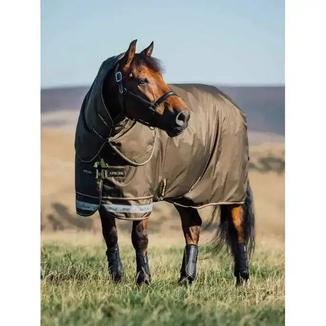 Brown horse wearing lemieux arika 600d black and tan 600d ripstop 200g turnout rug alpine with african branding