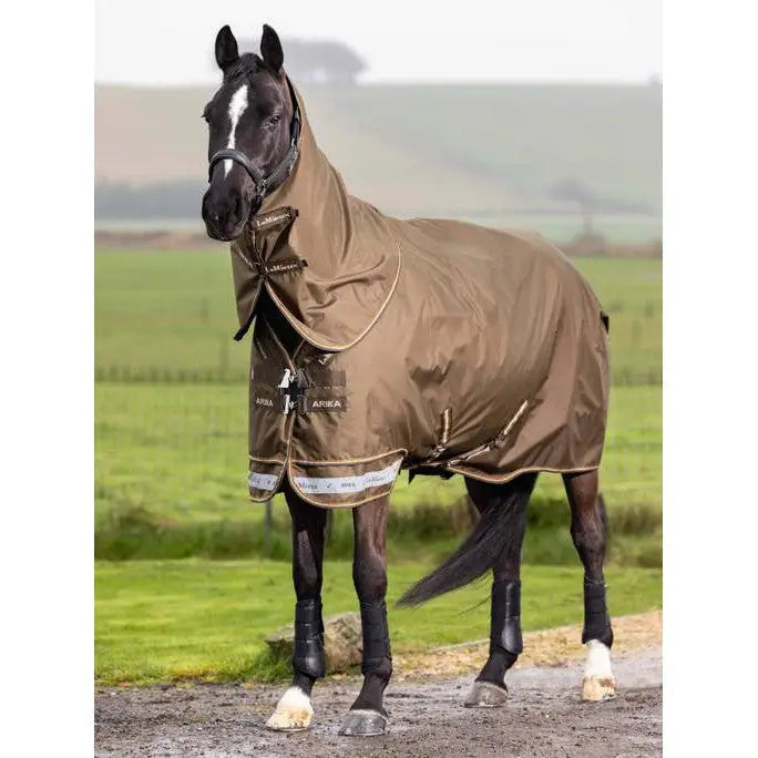 Horse in brown Lemieux Arika 600D Ripstop 200g Turnout Rug Alpine on path