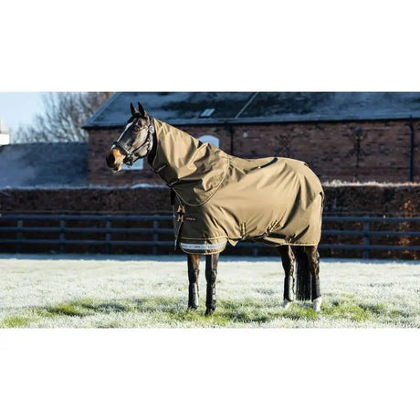 Horse in Lemieux Arika 600D Ripstop 200g Turnout Rug Alpine with protective blanket and hood