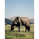 Brown lemieux arika 600d ripstop 50g turnout rug alpine with hood covering horse head and body for full coverage