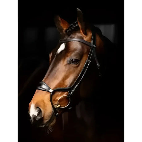 A sleek lemieux arika adjustable black leather noseband bridle with silver hardware and an adjustable anatomic design