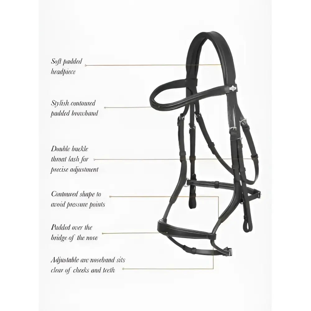 Lemieux arika adjustable anatomic noseband bridle in black leather with padded headpiece and throat latch