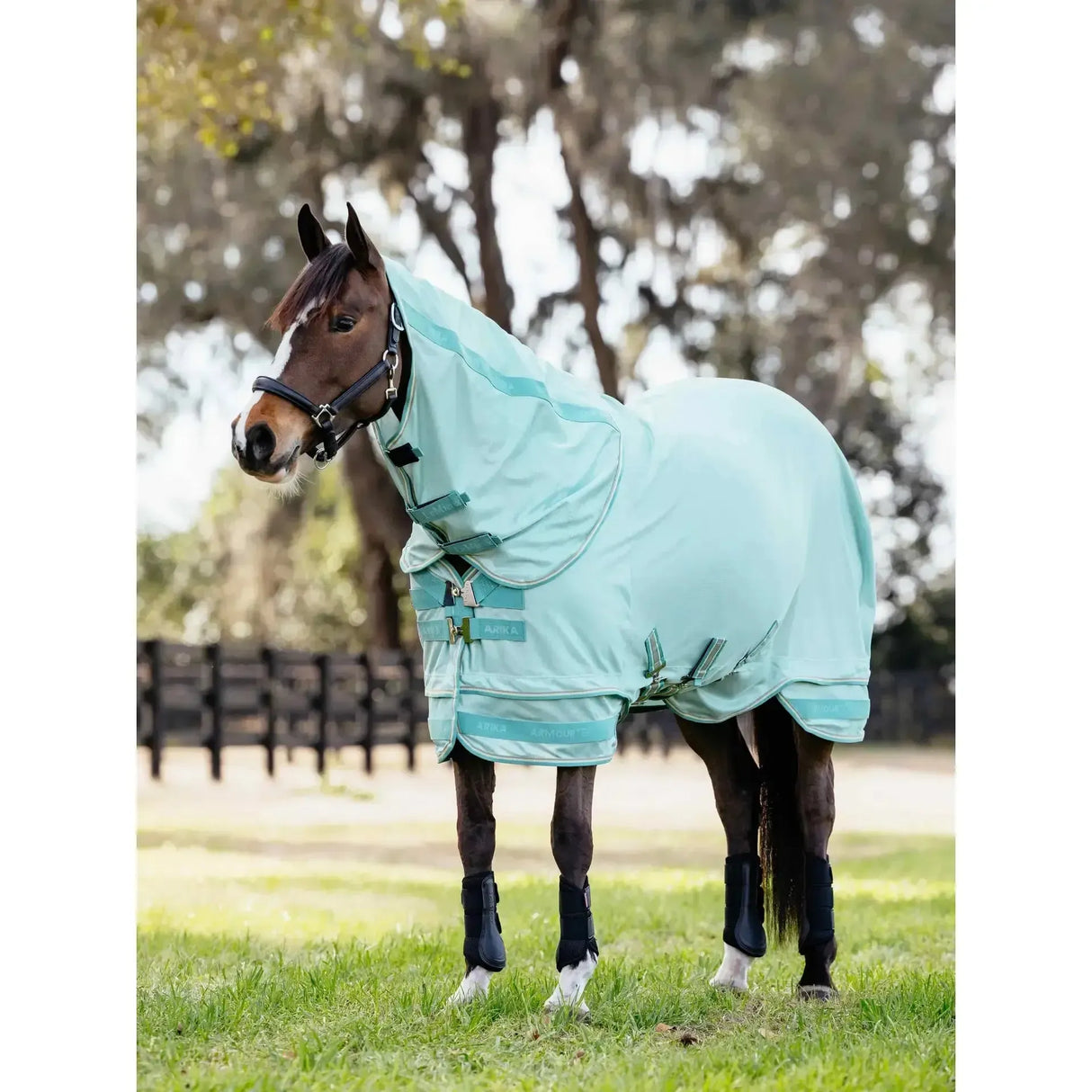 Lemieux Arika Armour-Tek Fly Rug Aqua Aqua 5'3'' Fly Rugs