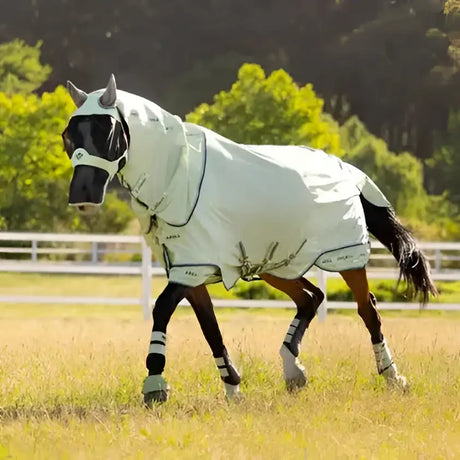 White lemieux arika armour-tek fly rug macaron with black trim and adjustable straps for equine protection