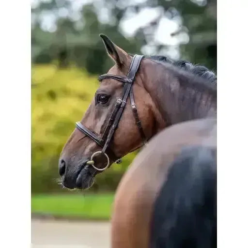 LeMieux Arika Cavesson Bridle Brown/Silver Pony Brown/Silver Cavesson Bridle