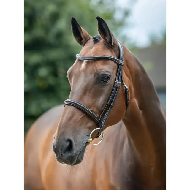 Lemieux arika cavesson oiled leather bridle in brown with silver hardware expertly crafted for riding use
