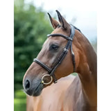 Black leather lemieux arika cavesson bridle with silver metal hardware and oiled leather bridle finish