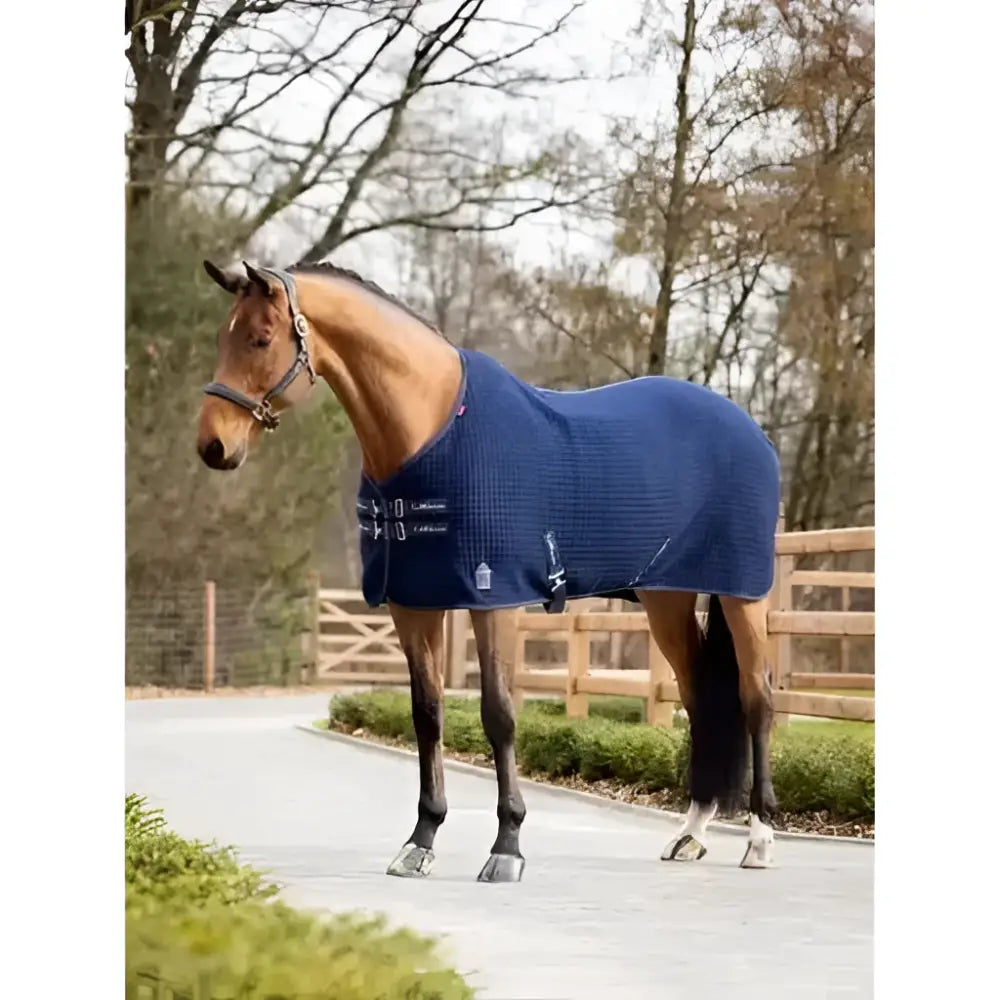 Navy blue quilted lemieux arika clima-tek rug with silver buckles and logo features multi-layered structure managing moisture