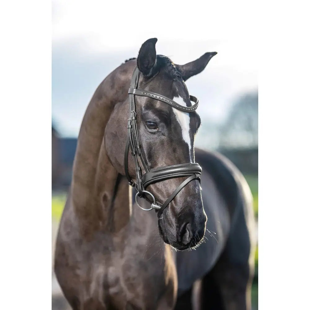 Black leather lemieux arika dressage bridle with silver fittings and decorative stitching for dressage use