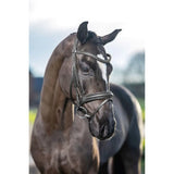 Black leather lemieux arika dressage bridle with silver fittings and decorative stitching for dressage use