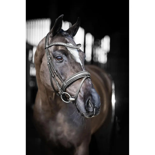 Sleek silver and black leather lemieux arika dressage bridle with decorative browband and adjustable straps