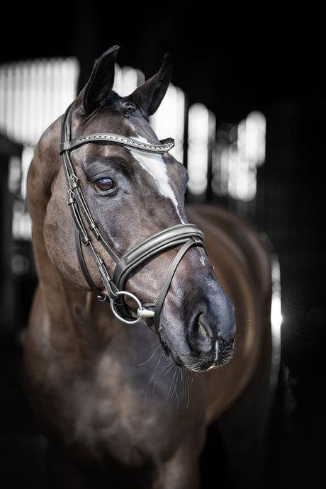 LeMieux Arika Dressage Bridle Black/Silver Pony Black/Silver Flash Bridles