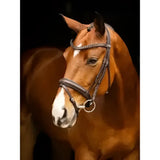 Brown horse wearing lemieux arika dressage bridle with dark brown leather and silver fittings dressage bridle