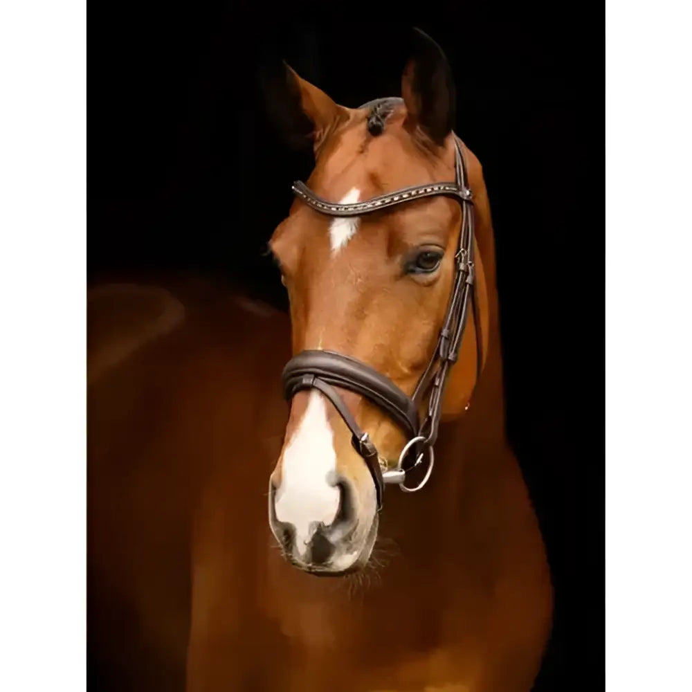 A brown horse wearing a lemieux arika dressage bridle in dark leather with silver fittings dressage bridle accents