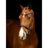 A brown horse wearing a lemieux arika dressage bridle in dark leather with silver fittings dressage bridle accents