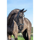 Black leather lemieux arika drop bridle with anatomically shaped browband and silver hardware in black silver