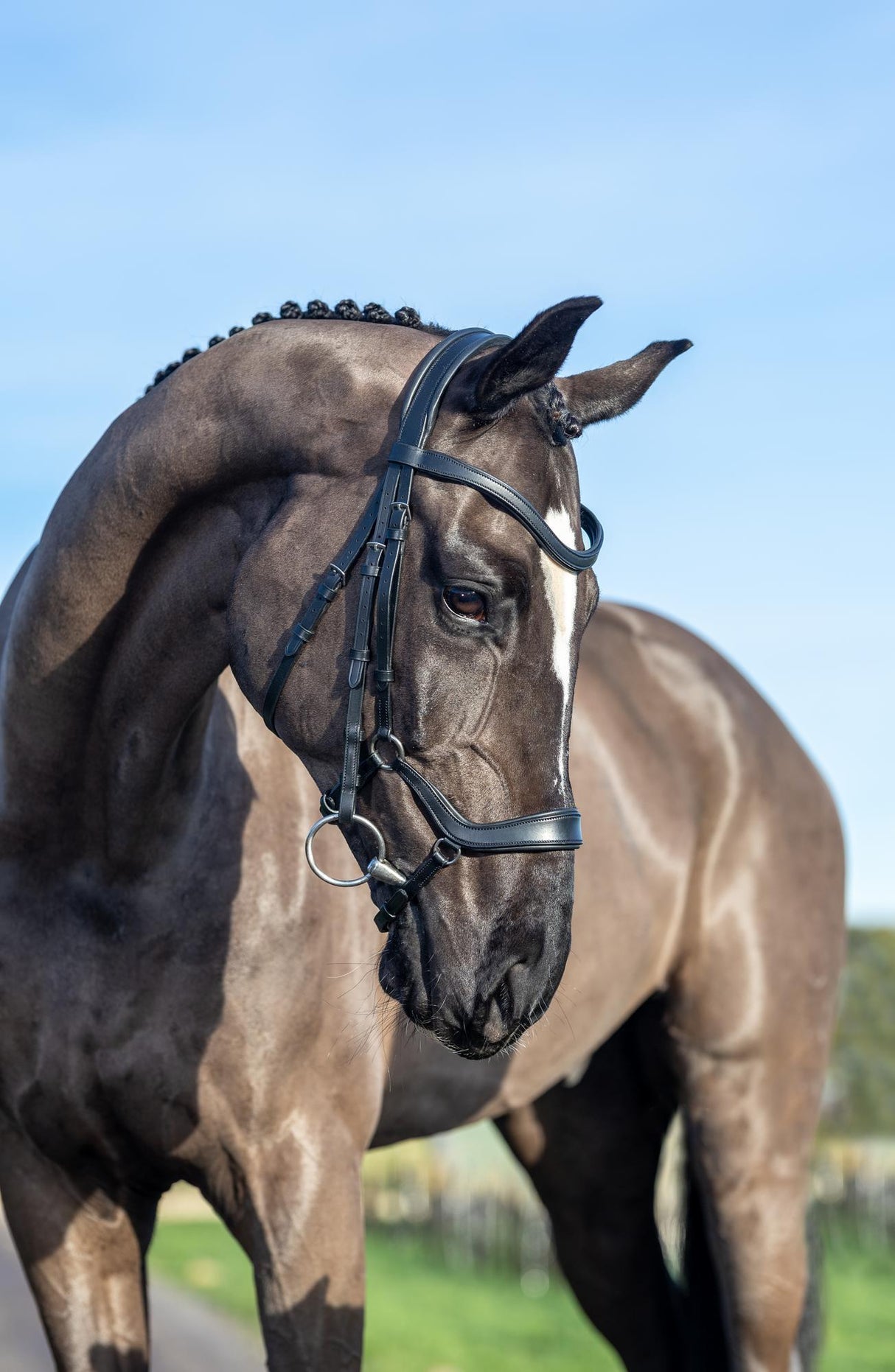 LeMieux Arika Drop Bridle Black/Silver