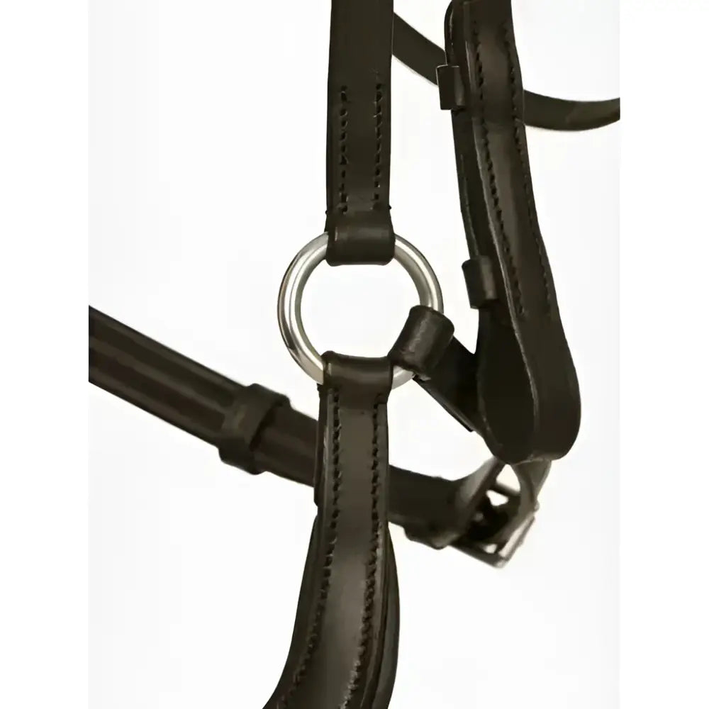 Black leather lemieux arika drop bridle with anatomically shaped browband and silver metal buckle in brown silver