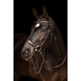 A dark brown horse wearing lemieux arika drop bridle with anatomically shaped browband in brown and silver tones