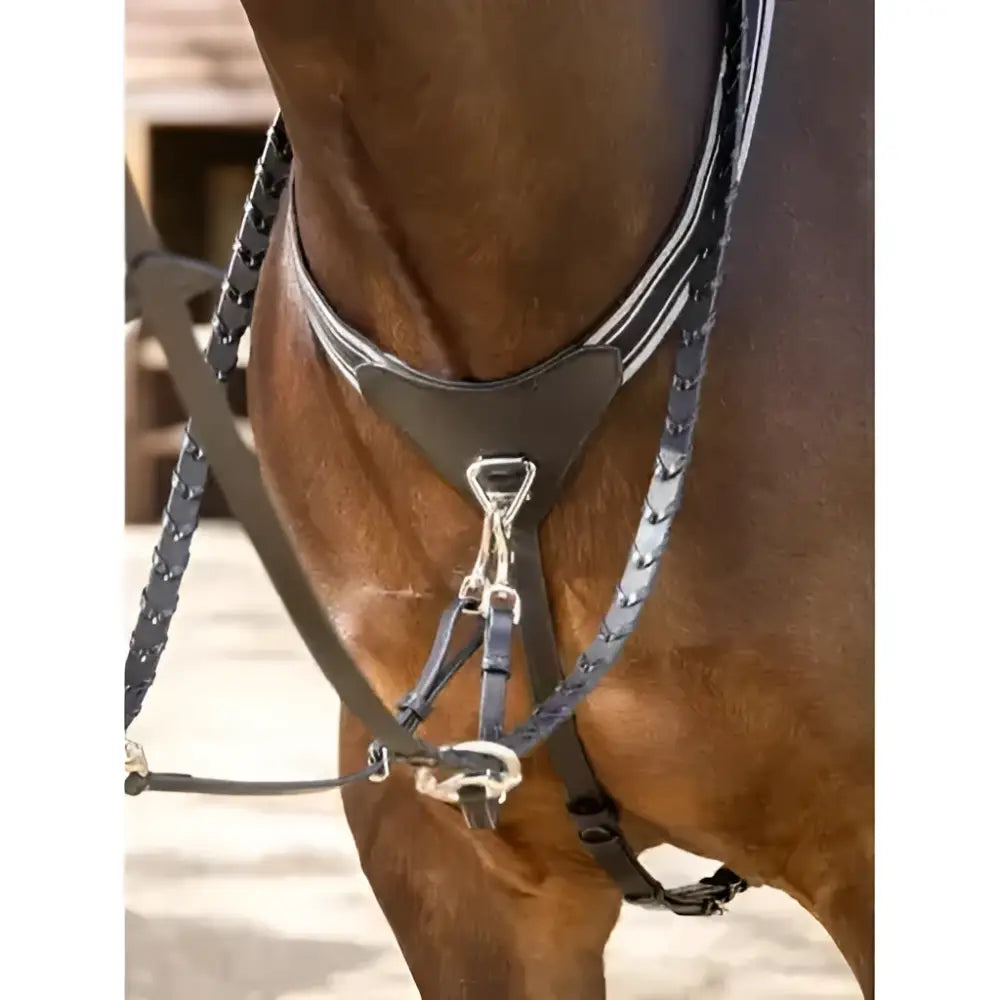 Black leather lemieux arika elasticated breastplate with braided straps silver hardware and soft leather pad