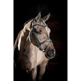 Black supple oiled leather lemieux arika flash bridle with silver hardware flash bridle maximises control