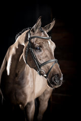LeMieux Arika Flash Bridle Black/Silver Pony Black/Silver Flash Bridles