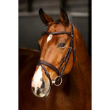 Brown supple oiled leather lemieux arika flash bridle with black stitching and silver metal flash hardware