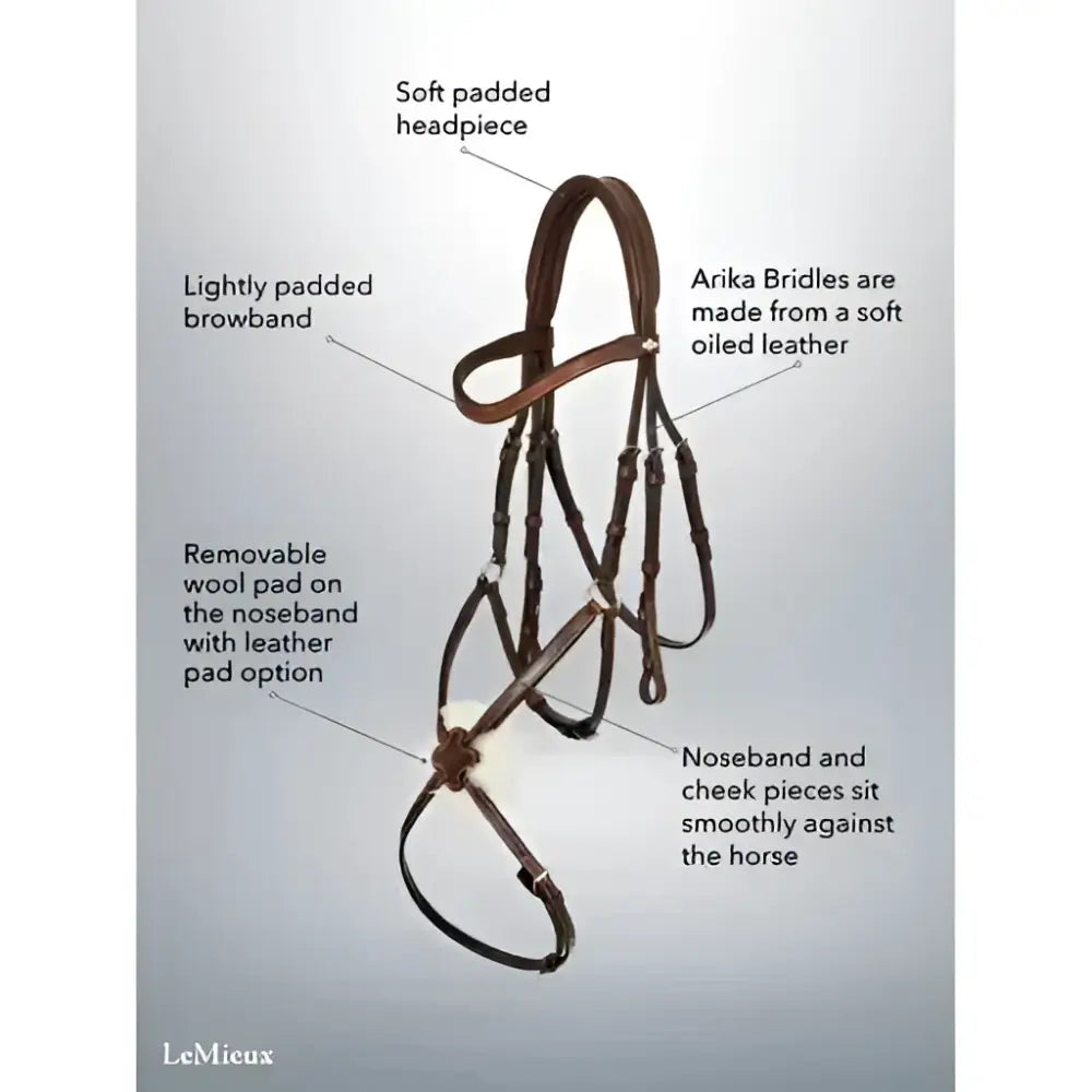 Brown soft oiled leather arika grackle bridle with light padding and removable wool noseband pad worn higher style