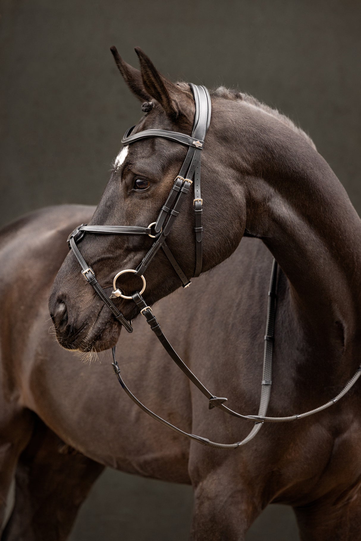 LeMieux Arika Grackle Bridle Black/Silver