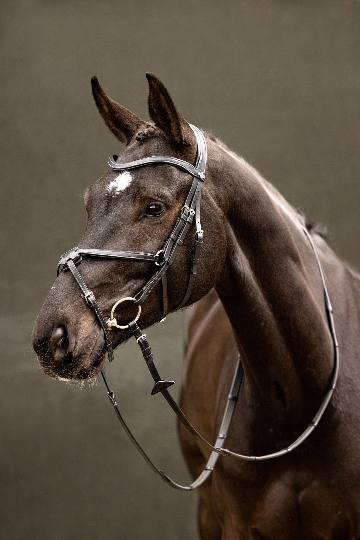 LeMieux Arika Grackle Bridle Black/Silver