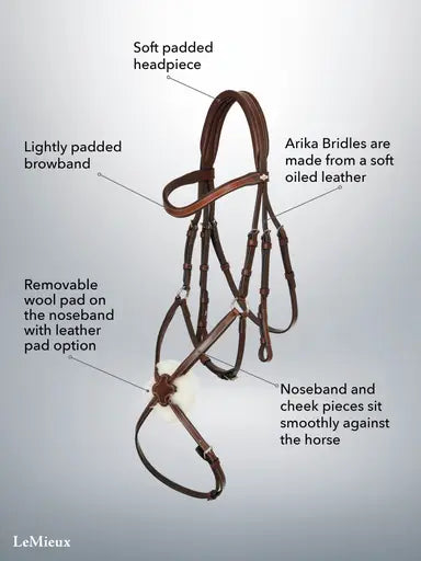 LeMieux Arika Grackle Bridle Black/Silver