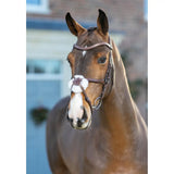 Brown horse wearing an arika grackle bridle lemieux havana silver with a white fluffy noseband worn higher