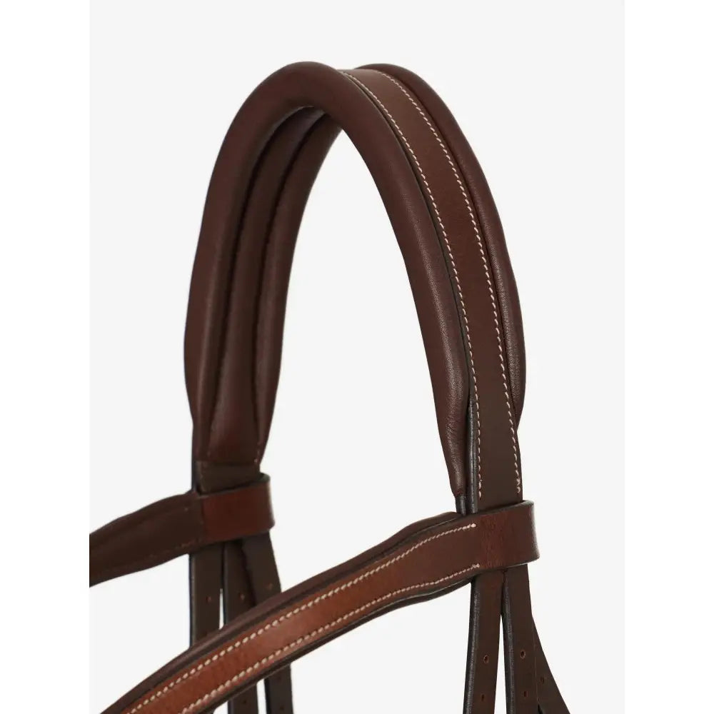 Brown leather arika grackle bridle with white stitching worn higher in lemieux havana silver style