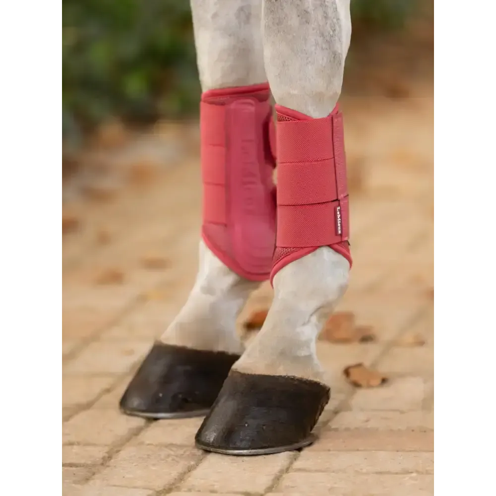 Lemieux Arika Mesh Brushing Boots Cranberry Cranberry Small Brushing Boots