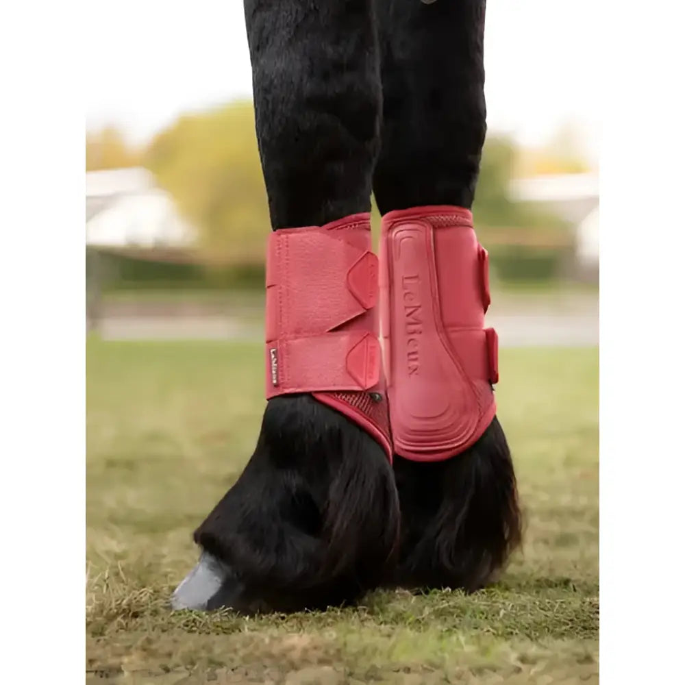 Lemieux arika mesh brushing boots cranberry in red leather with adjustable straps and textured design for horse protection