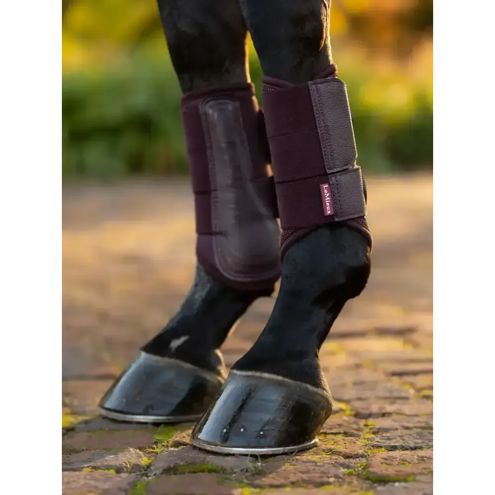 Lemieux Arika Mesh Brushing Boots Damson Damson Small Brushing Boots
