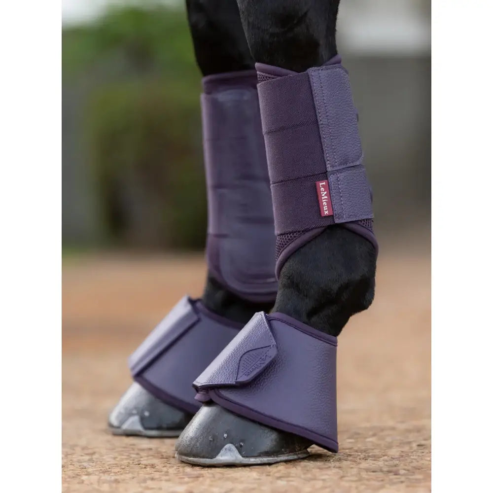 Purple lemieux arika reach boots juniper with mesh panel and adjustable strap for horse leg protection