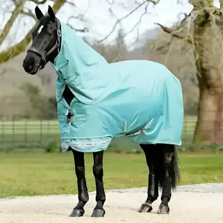 Teal lemieux arika ripstop 50g turnout rug lagoon with waterproof material reinforced edges and black zippers closures