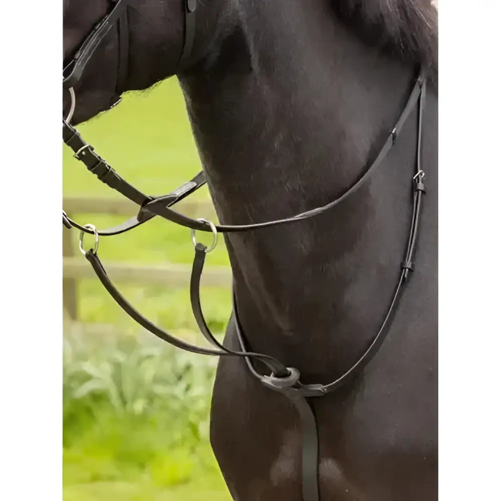 Black leather lemieux arika running martingale with silver metal hardware for horse’s comfort and control