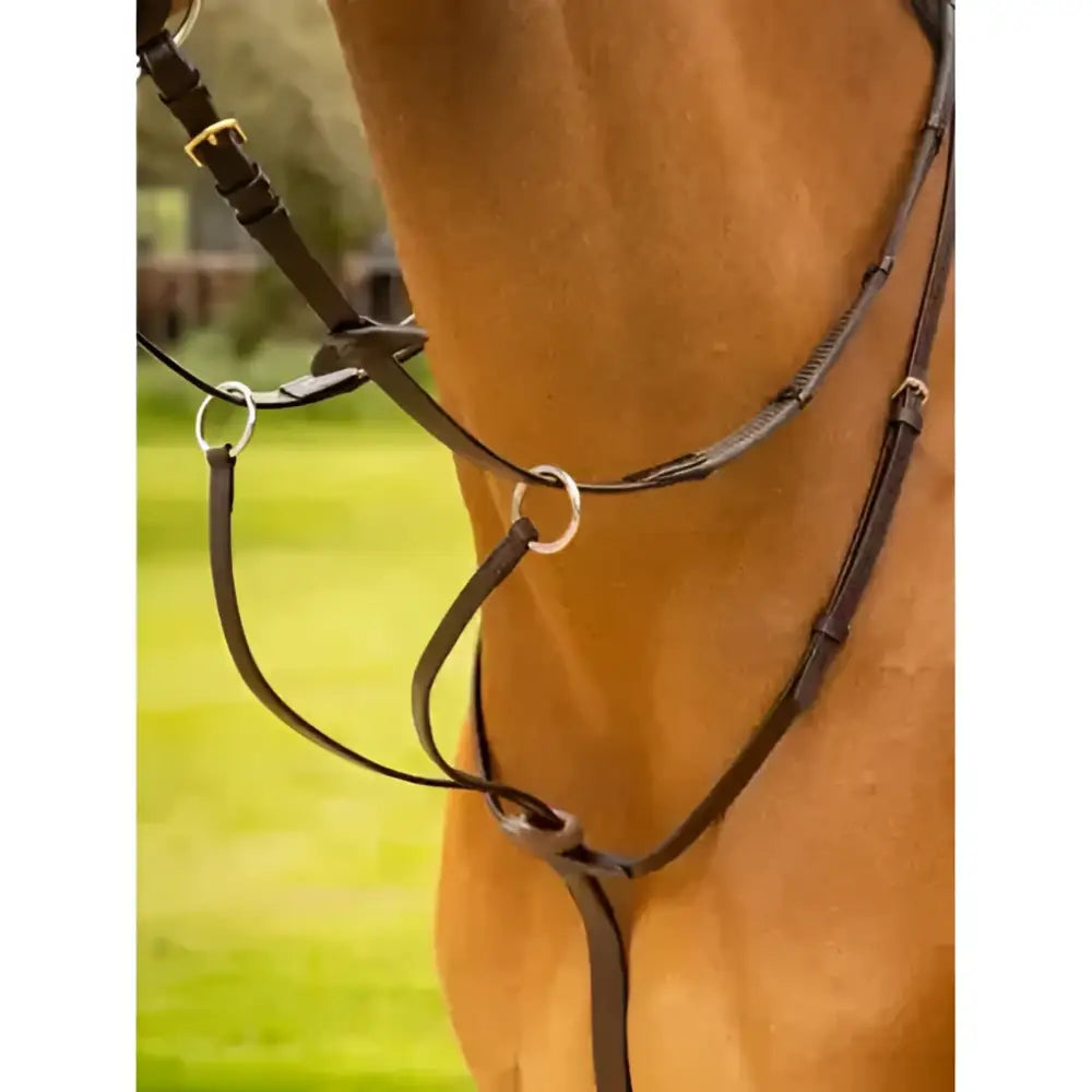 Black leather lemieux arika running martingale with silver buckles designed for horse comfort in brown and silver