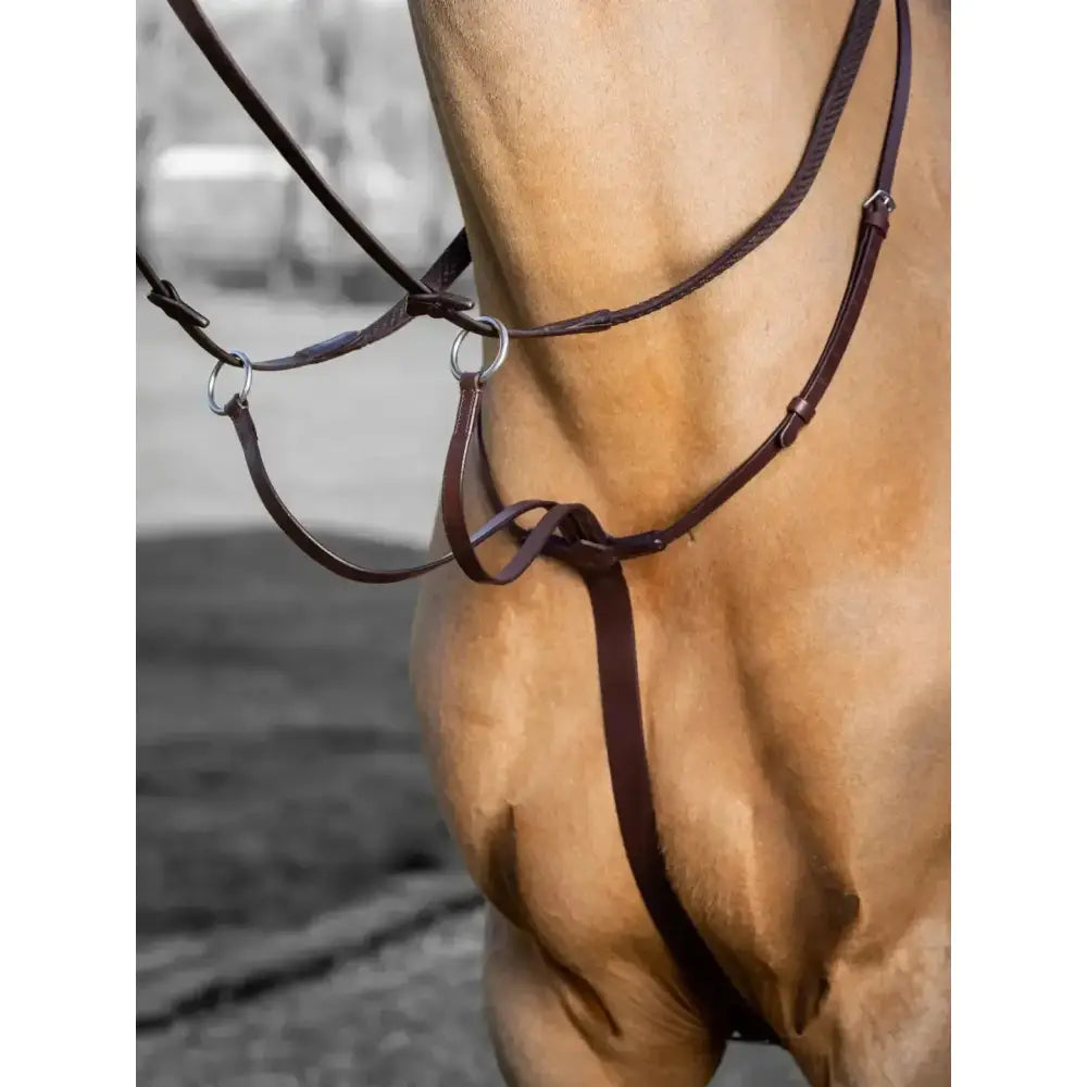 Brown leather lemieux arika running martingale in havana silver with metal rings designed for horse’s comfort