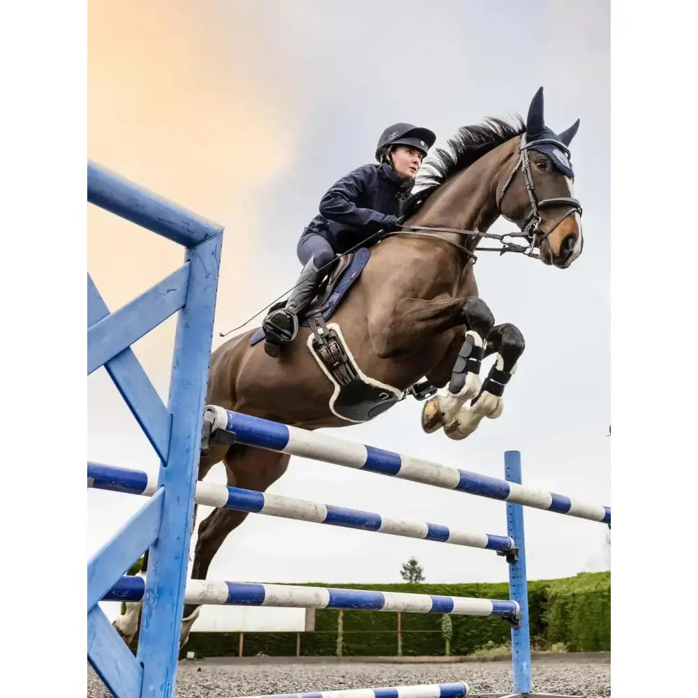 A sleek dark brown horse and rider mid-jump wearing black lemieux arika simuwool contoured short stud girth