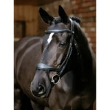 Black horse wearing a sleek dark leather arika split noseband bridle with silver hardware noseband bridle black