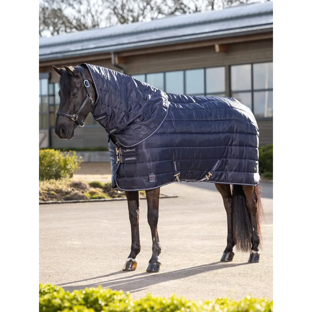 Lemieux Arika Stable-Tek Neck Cover 200g - Stable Rugs