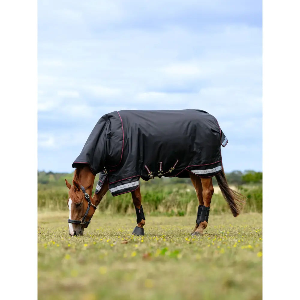 Black lemieux arika storm-tek rug 100g with red trim and silver reflective stripes for horses